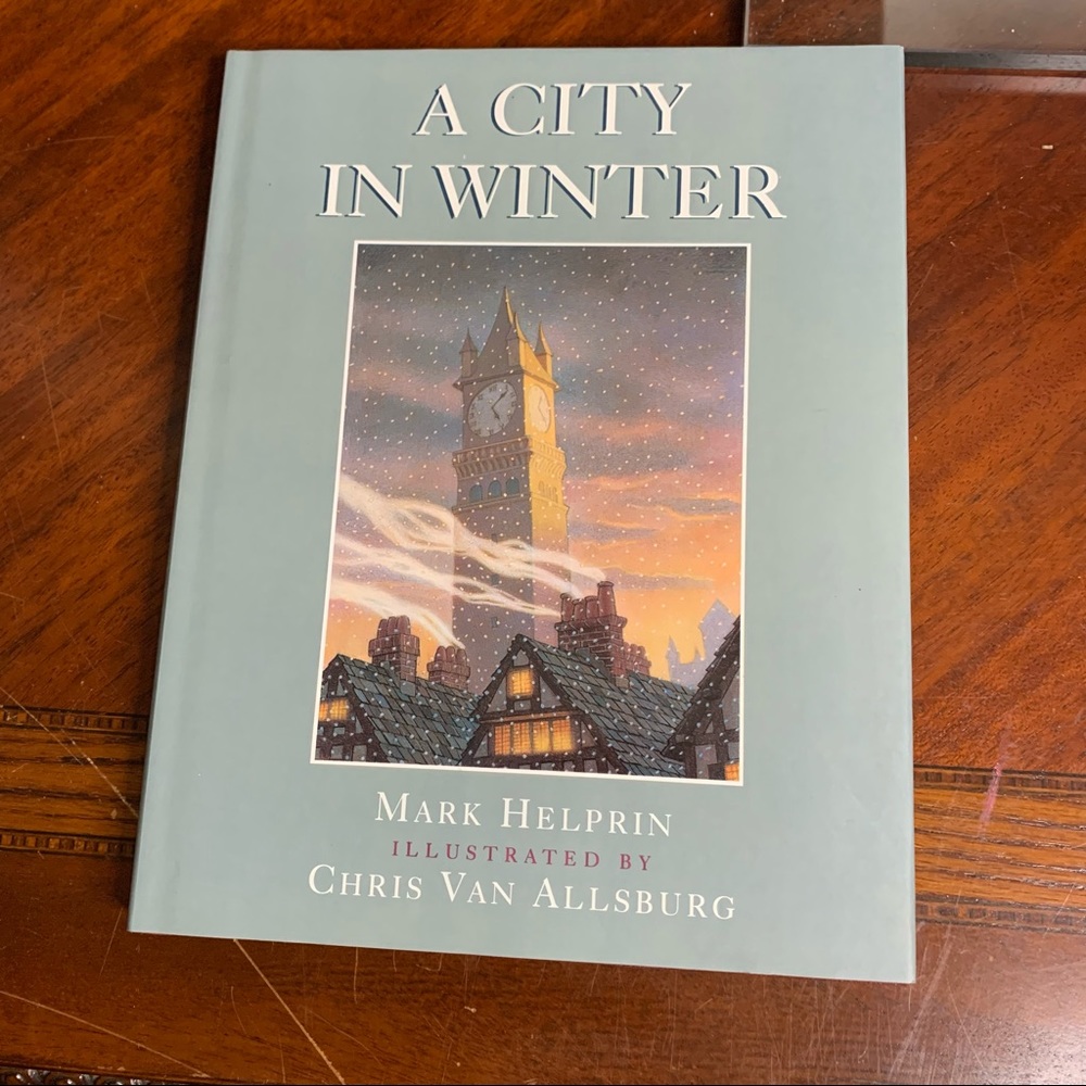 New A City in Winter Illustrated Book